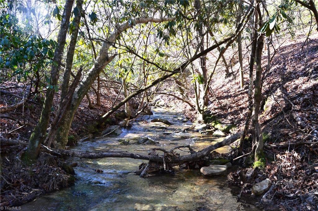 118 acres - Hanging Rock Park Road, Danbury, NC 27016