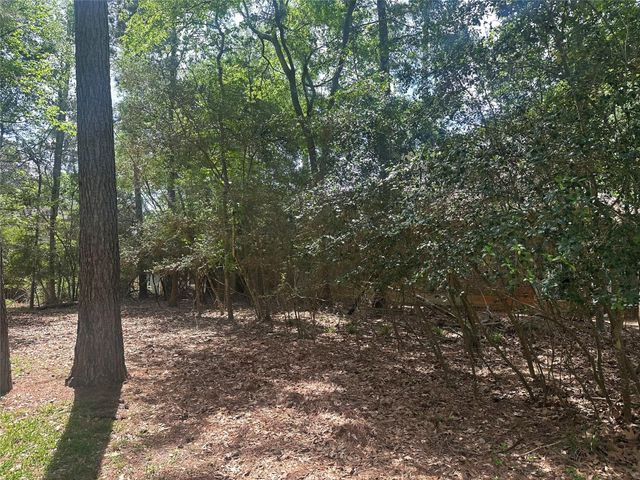 11331 Burning Tree Drive, Montgomery, TX 77356