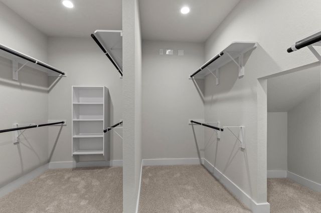 3207 Bushy Hawthorne Drive, Conroe, TX 77301