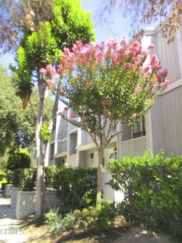 965 E Del Mar Boulevard 3, Pasadena, CA 91106