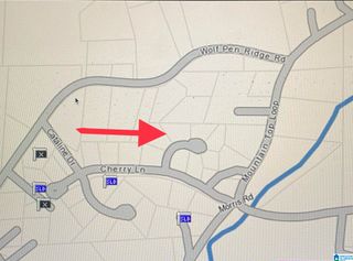 225 FREEDOM WAY, Pell City, AL 35128