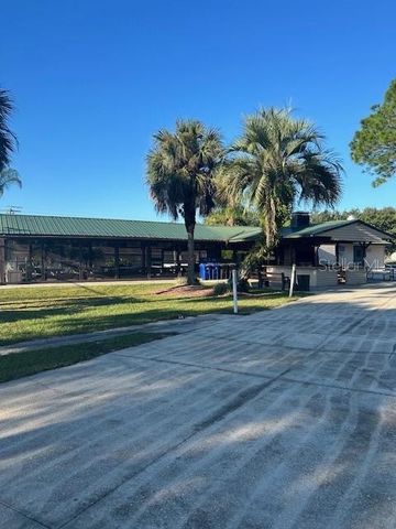 79 EAGLE POINT S, Osteen, FL 32764