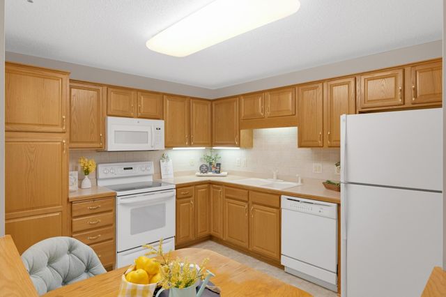 18400 Euclid Street 263, Farmington, MN 55024