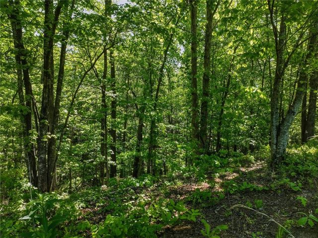Lot 5 Summit Drive, Dahlonega, GA 30533