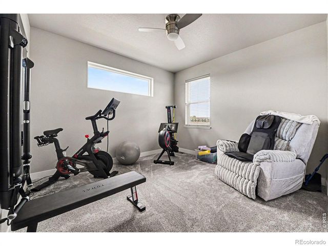 5177 School House Drive, Timnath, CO 80547