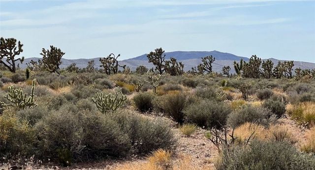 0 Shore Avenue, Meadview, AZ 86444