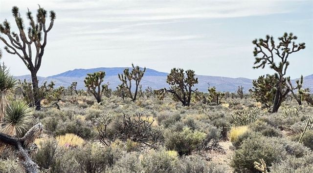 0 Shore Avenue, Meadview, AZ 86444