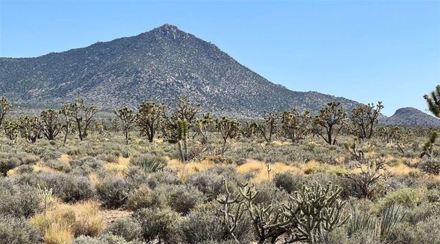 0 Shore Avenue, Meadview, AZ 86444