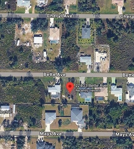 22403 Bette Avenue, Port Charlotte, FL 33954