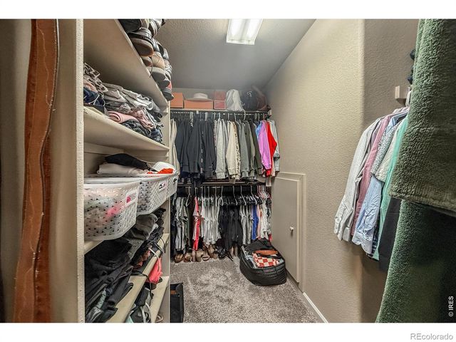 915 Snowy Plain Road, Fort Collins, CO 80525