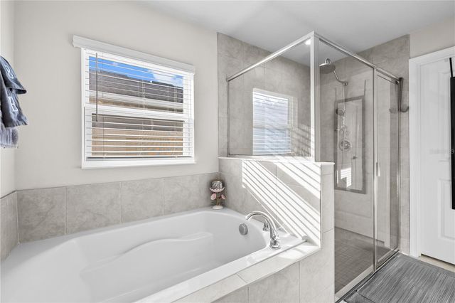 18446 HUNTERS MEADOW WALK, Land O Lakes, FL 34638