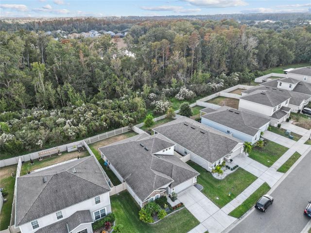 18446 HUNTERS MEADOW WALK, Land O Lakes, FL 34638