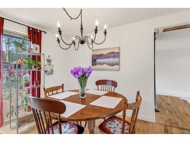 1217 Michael Ln, Woodland Park, CO 80863