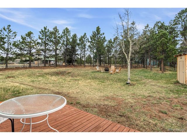 1217 Michael Ln, Woodland Park, CO 80863