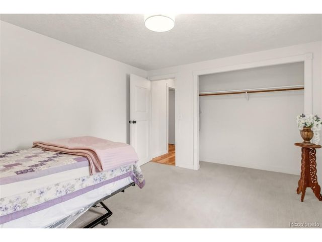 1217 Michael Ln, Woodland Park, CO 80863