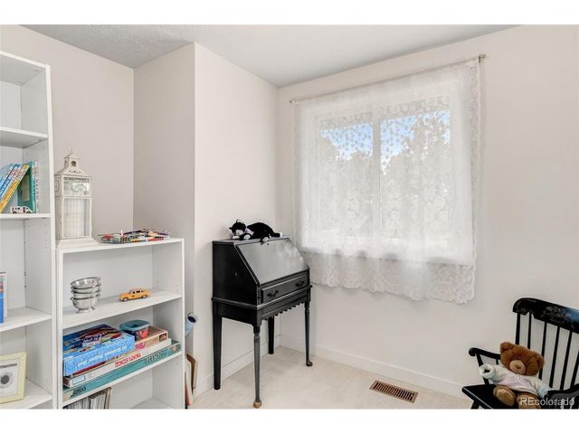 1217 Michael Ln, Woodland Park, CO 80863