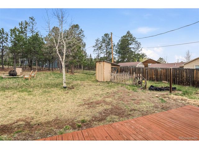 1217 Michael Ln, Woodland Park, CO 80863