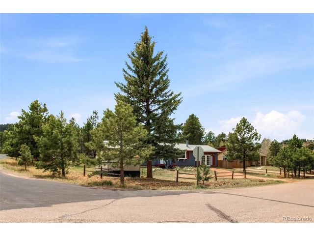 1217 Michael Ln, Woodland Park, CO 80863