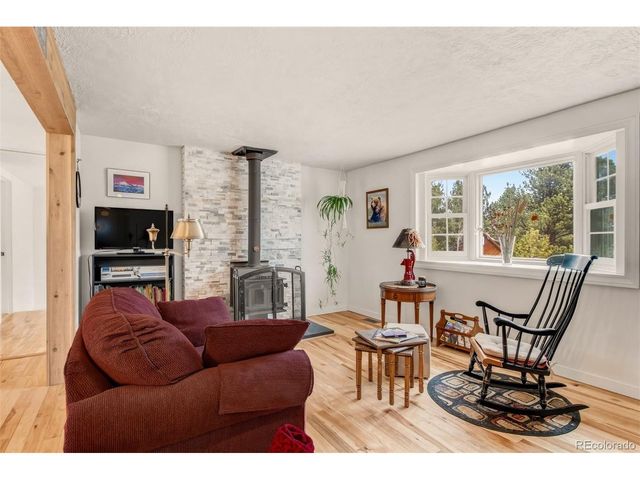 1217 Michael Ln, Woodland Park, CO 80863