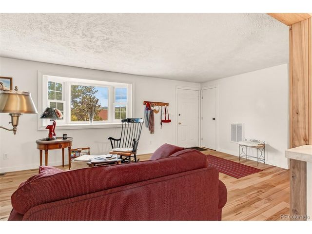 1217 Michael Ln, Woodland Park, CO 80863