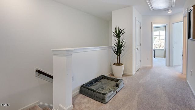 313 Sweetbay Tree Drive, Wendell, NC 27591