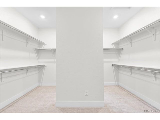 6503 Still Pine Cir, Castle Pines, CO 80108