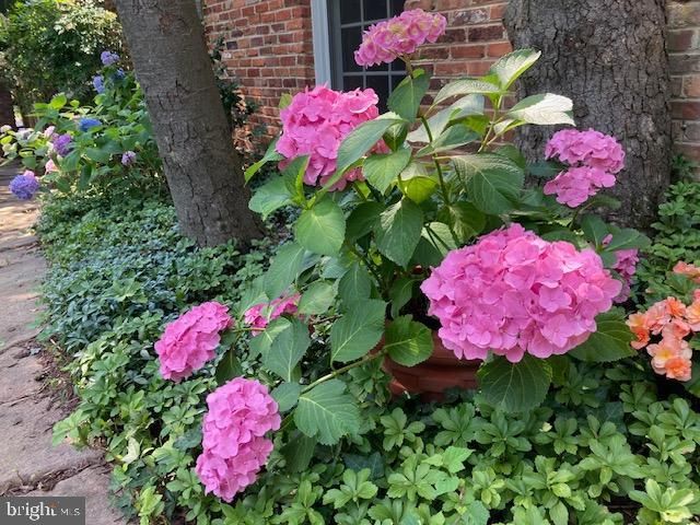 6904 OLD GATE LN, North Bethesda, MD 20852