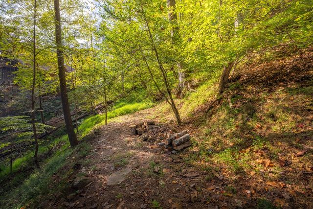 283 River Bend Lane, Blue Ridge, GA 30513