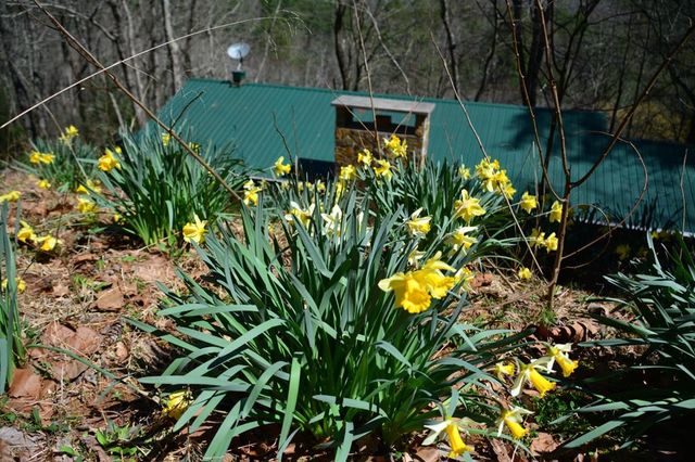 283 River Bend Lane, Blue Ridge, GA 30513