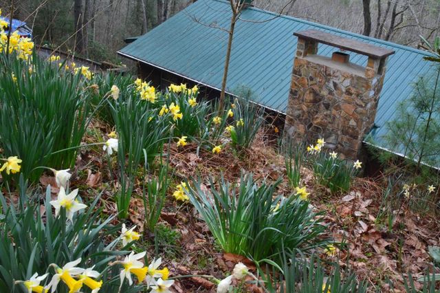 283 River Bend Lane, Blue Ridge, GA 30513