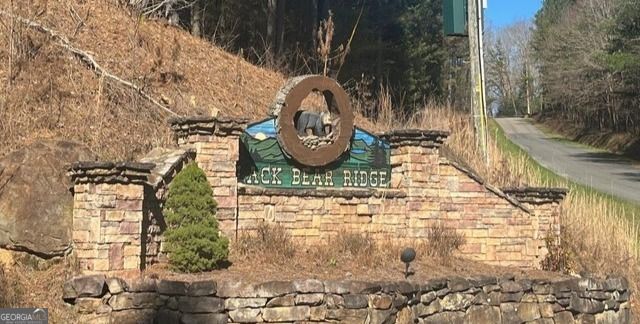 37 Black Bear Ridge Road, Ellijay, GA 30536