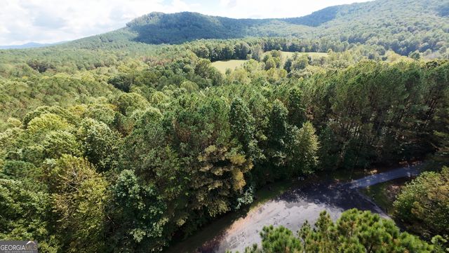 37 Black Bear Ridge Road, Ellijay, GA 30536