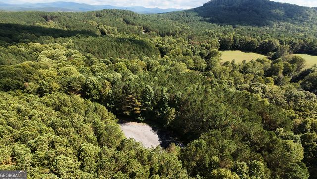 37 Black Bear Ridge Road, Ellijay, GA 30536