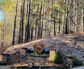 37 Black Bear Ridge Road, Ellijay, GA 30536