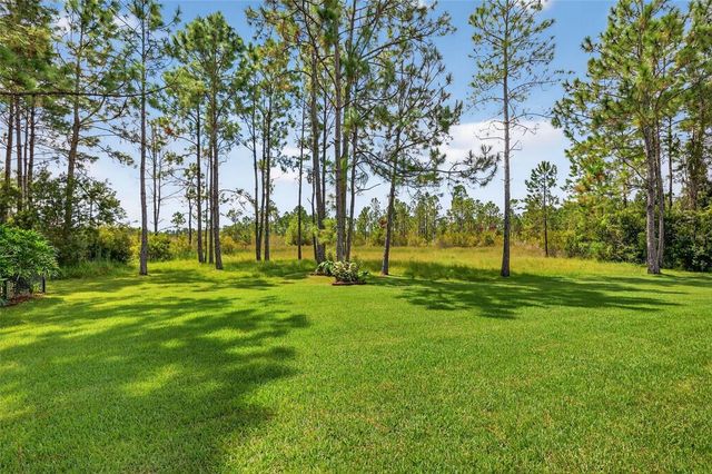 404 LONG AND WINDING ROAD, Howey In The Hills, FL 34737