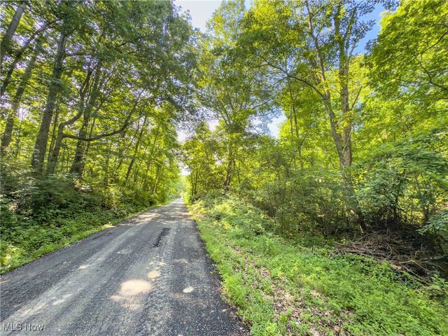 35 acres Saffell Road, Belmont, OH 43718