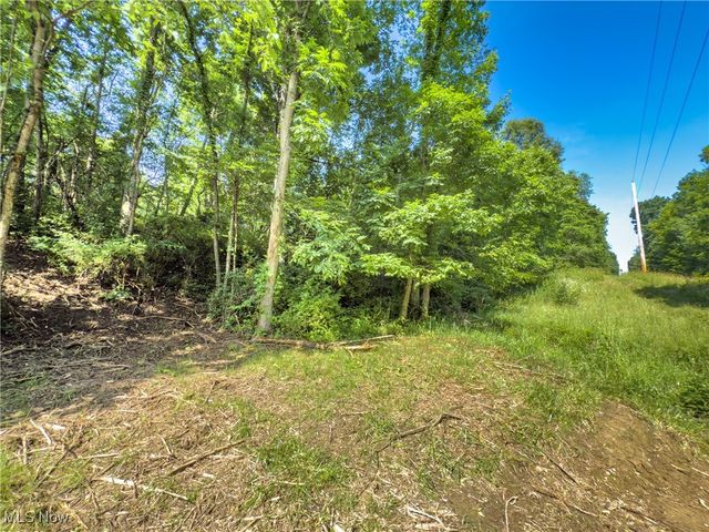 35 acres Saffell Road, Belmont, OH 43718