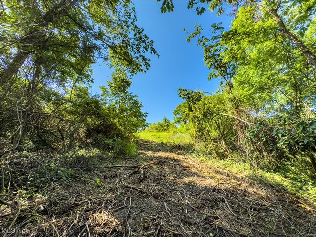 35 acres Saffell Road, Belmont, OH 43718