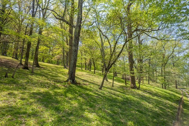 8039 Campbellsville Rd, Pulaski, TN 38478