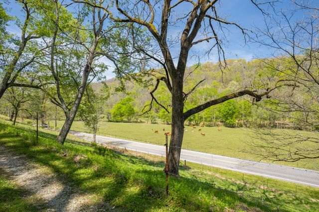 8039 Campbellsville Rd, Pulaski, TN 38478