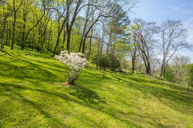 8039 Campbellsville Rd, Pulaski, TN 38478