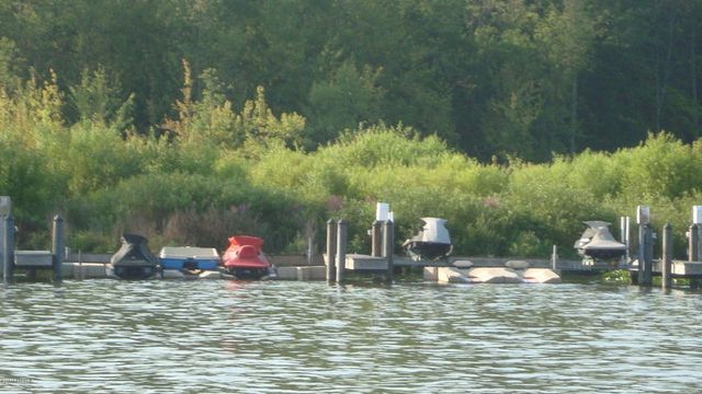 8683 Heron Court, Watervliet, MI 49098