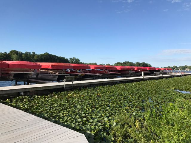 8683 Heron Court, Watervliet, MI 49098