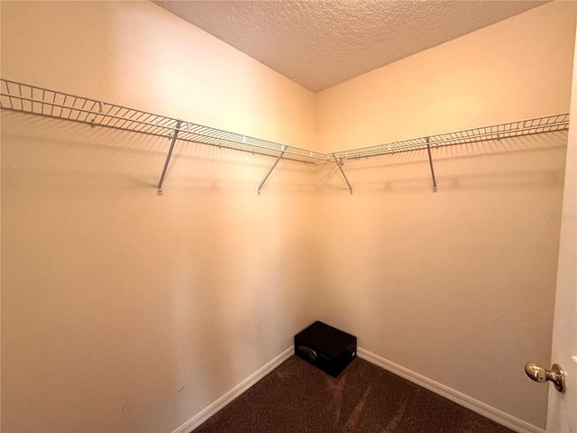 205 PARADISE WOODS PLACE, Davenport, FL 33896