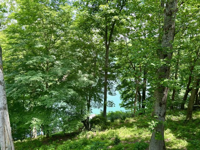 331 Huffman Park Rd, Lynchburg, TN 37352