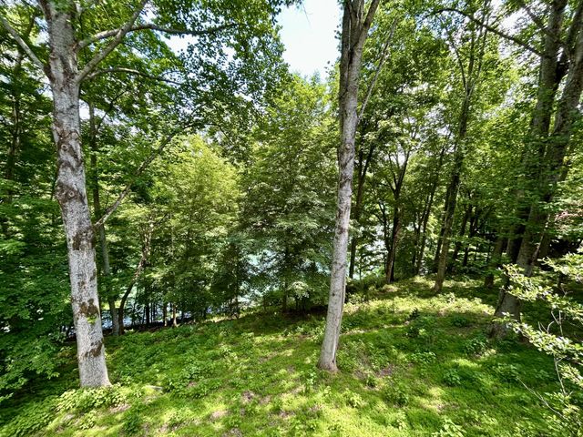 331 Huffman Park Rd, Lynchburg, TN 37352