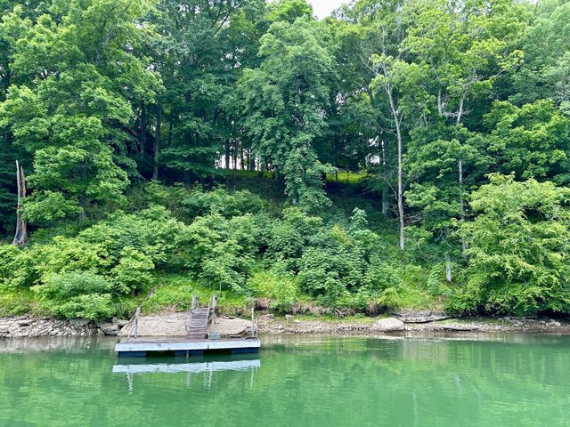 331 Huffman Park Rd, Lynchburg, TN 37352