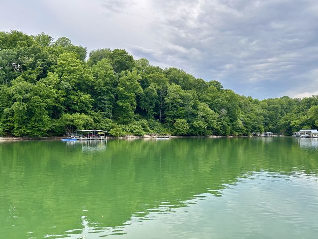 331 Huffman Park Rd, Lynchburg, TN 37352