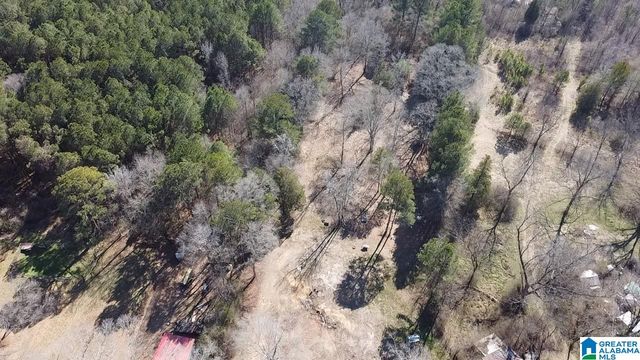 2161 ODENS MILL ROAD, Sylacauga, AL 35151