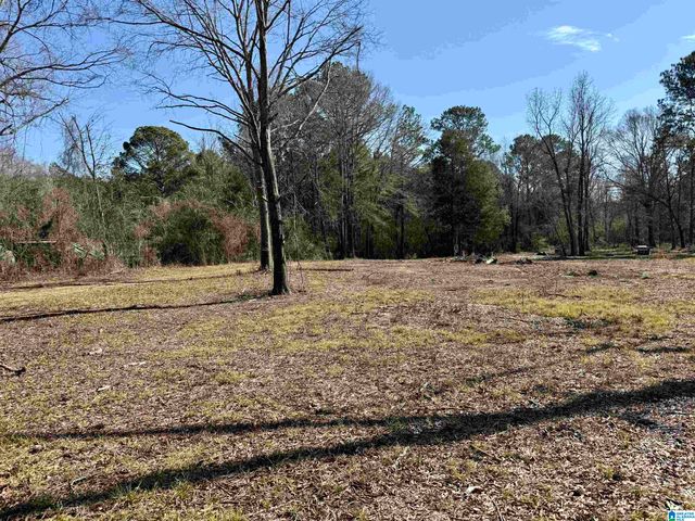 2161 ODENS MILL ROAD, Sylacauga, AL 35151